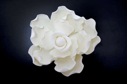 Gardenia Flower - White - Click Image to Close